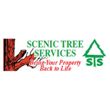 STS Tree Services Ltd - Tree Service