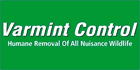 Varmint Control - Pest Control Services